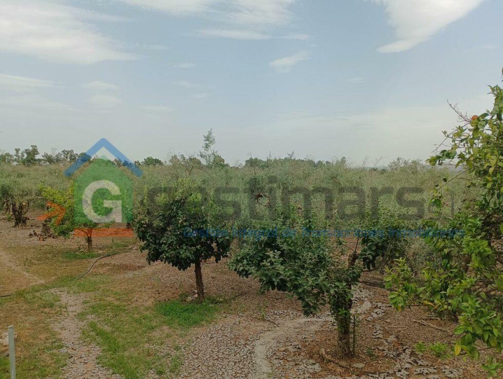 REF-79467-30